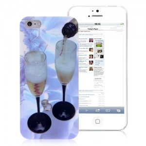Champaign iPhone 5 cases